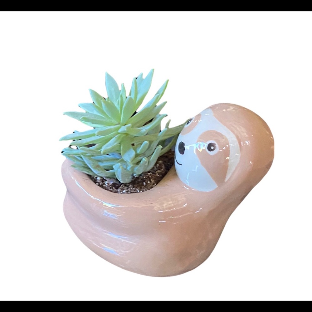 Cute Animal Sloth Planter Only Succulent Plant not Included.